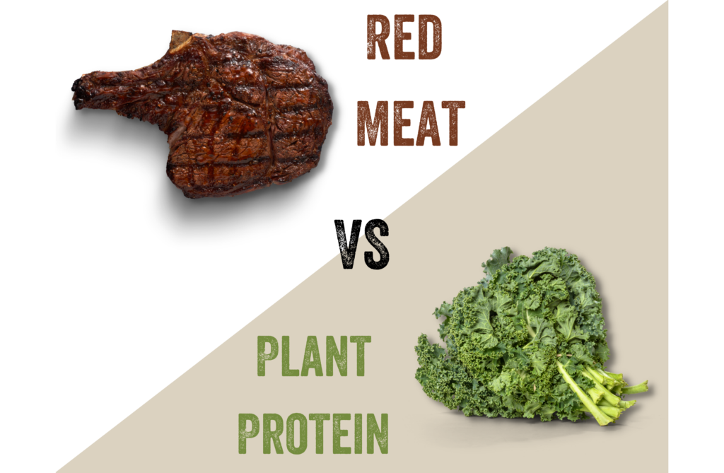 Study Summary: Protein Availability of Red Meat vs. Plant-Based Meat -  Sustainable Dish