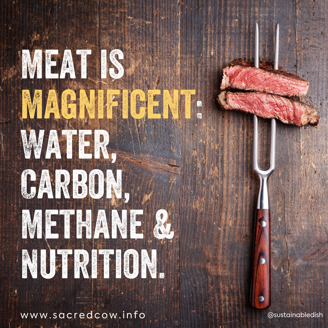 Meat Is Magnificent Water Carbon Methane Nutrition