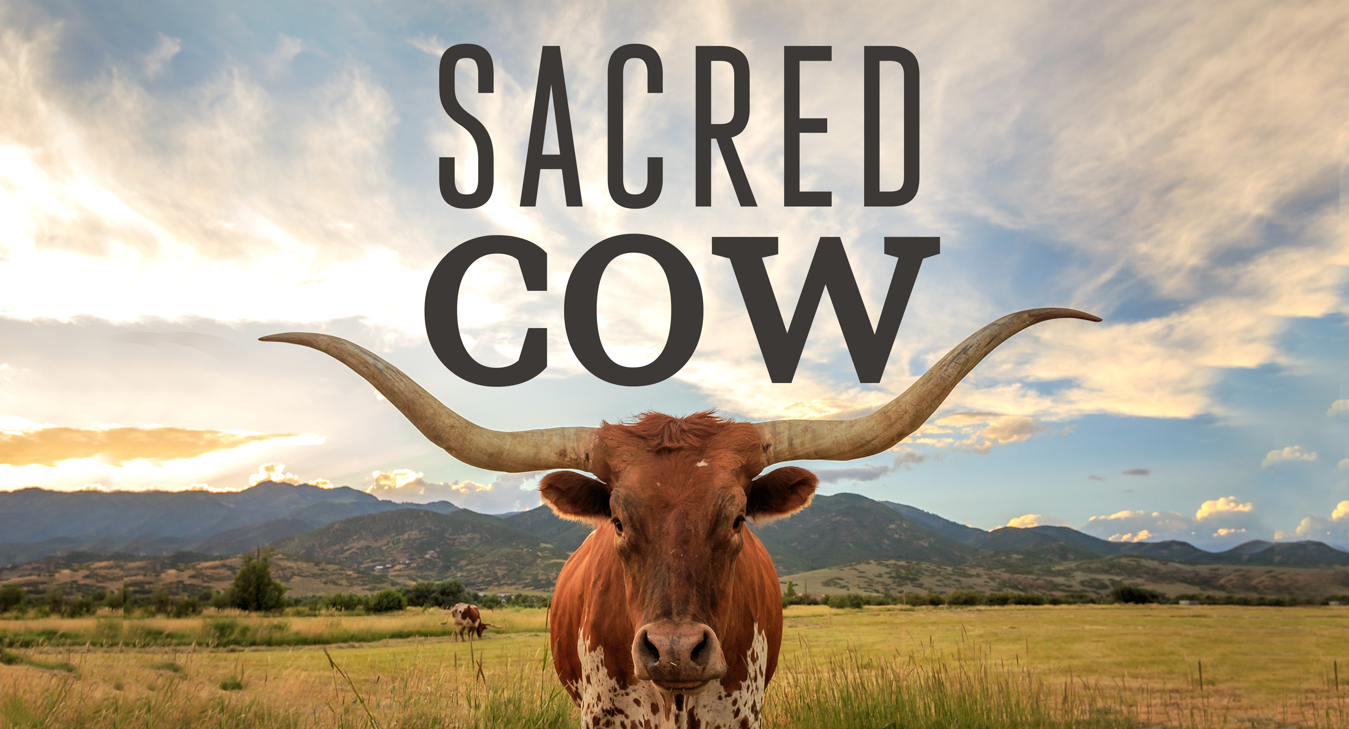 sacred cows make the best burgers ebook torrents